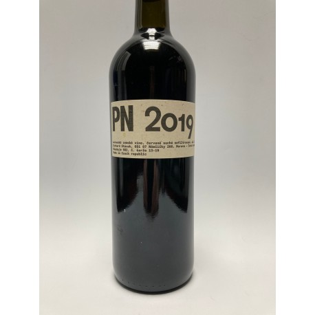 PN 2019